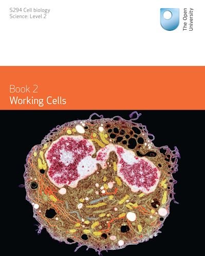 Working Cells S294