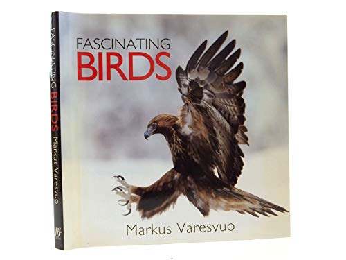 Fascinating Birds