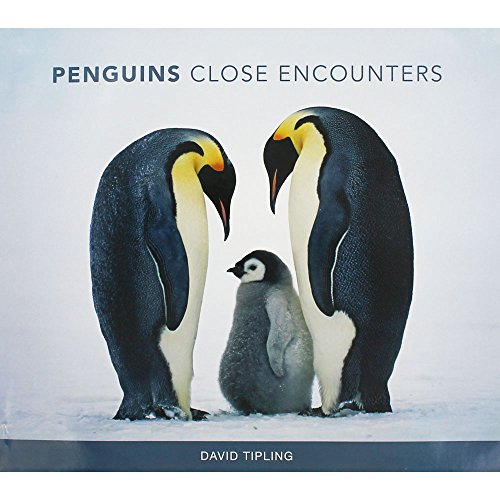 Penguins: Close Encounters