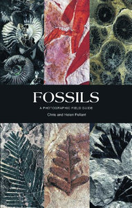 Fossils 