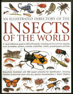 Illustrated Directory of Insects of the World 