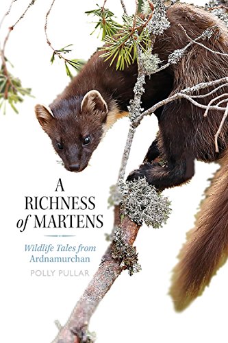 A Richness of Martens