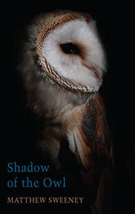 Shadow of the Owl 