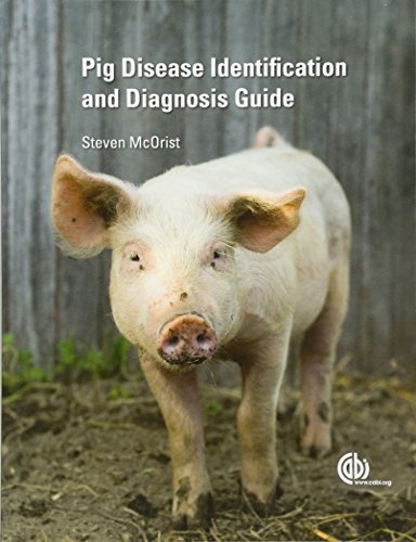 Pig Disease Identification and Diagnosis Guide