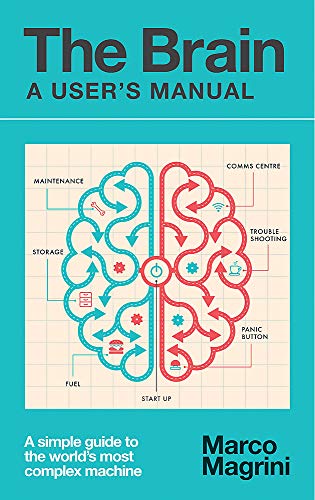 The Brain: A User's Manual