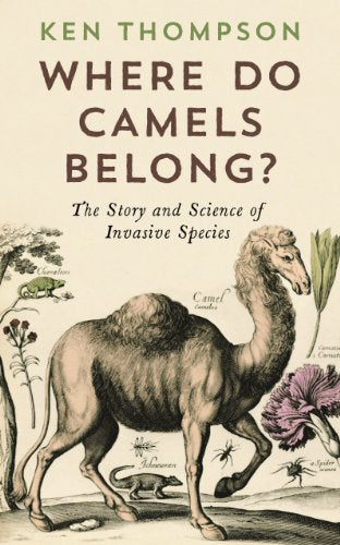 Where Do Camels Belong?