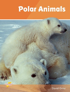 Polar Animals 
