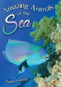 Amazing Animals of the Sea 