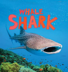 Discover Sharks: Whale Shark 