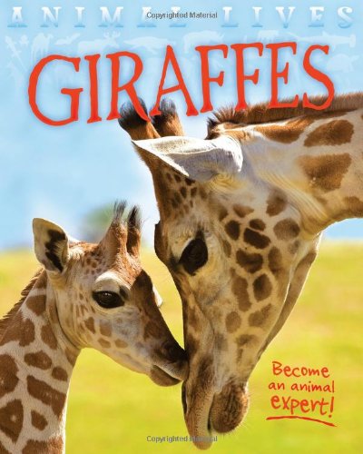 Animal Lives: Giraffes
