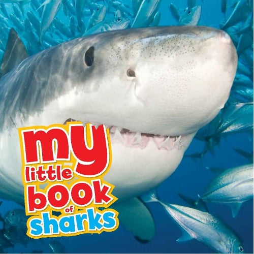 My Little Book of Sharks
