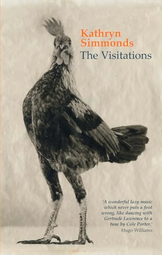 The Visitations