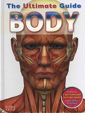 Body