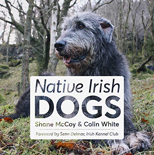 Native Irish Dogs