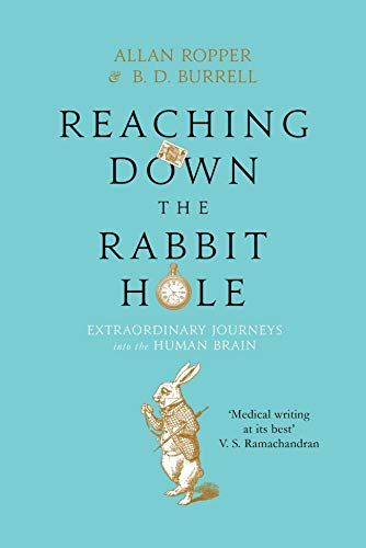 Reaching Down the Rabbit Hole