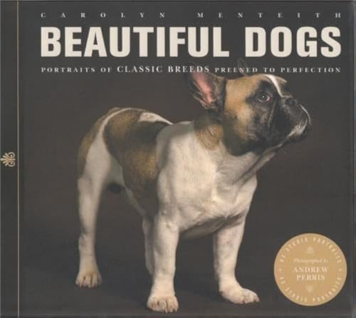 Beautiful Dogs