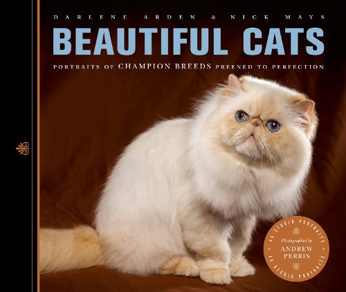 Beautiful Cats