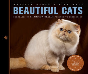 Beautiful Cats