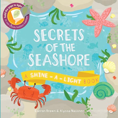 Secrets of the Seashore
