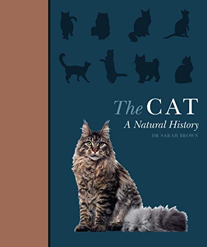 The Cat