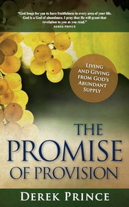 The Promise of Provision 