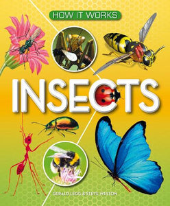 How It Works: Insects 