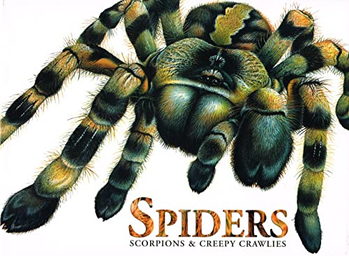 Spiders Scorpions & Creepy Crawlies