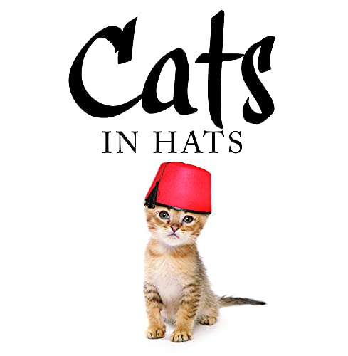Cats in Hats