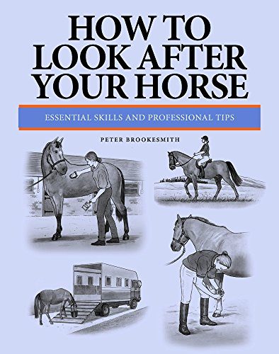 How To Look After Your Horse