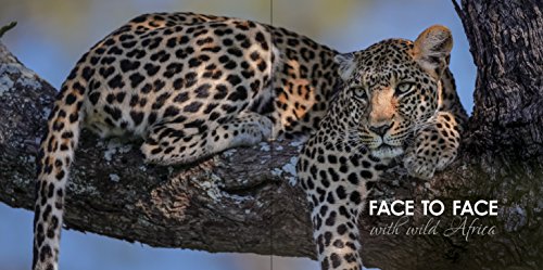 Face to Face with Wild Africa