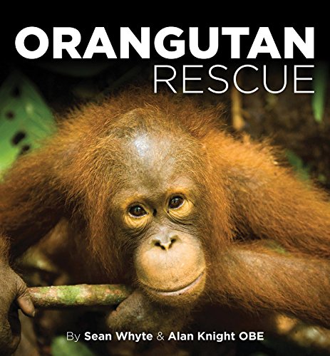 Orangutan Rescue