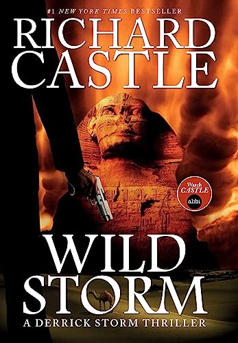 Wild Storm (a Derrick Storm Thriller)