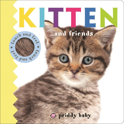 Touch & Feel: Kitten and Friends