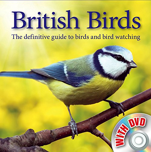 Bird Watching