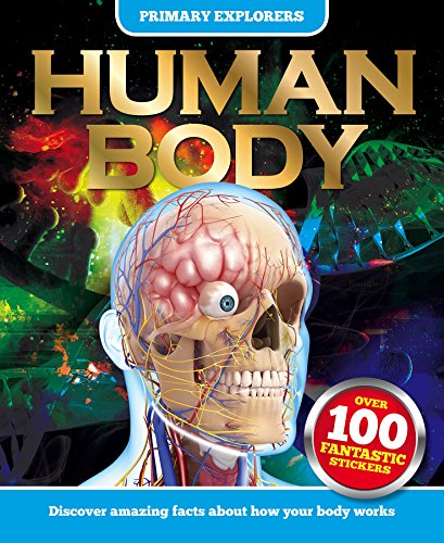 Human Body