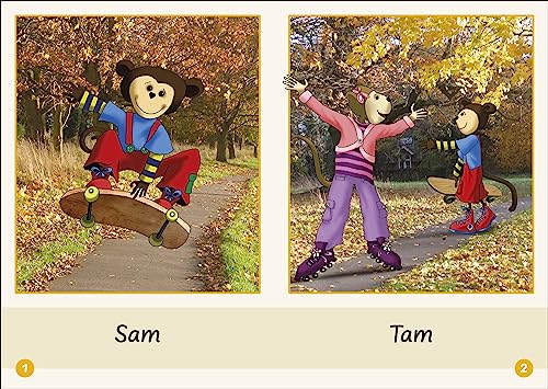 Phonic Books Dandelion Launchers Stages 1-7 Sam, Tam, Tim (Alphabet Code)