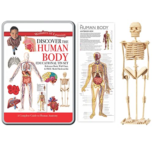 Discover the Human Body