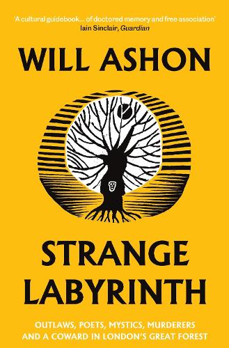 Strange Labyrinth