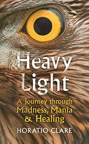 Heavy Light