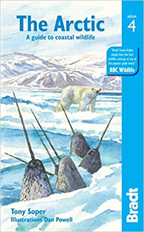The Arctic