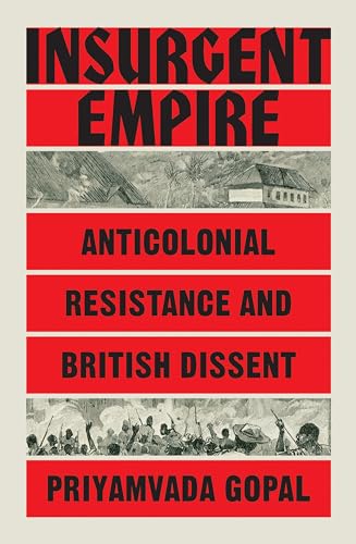 Insurgent Empire