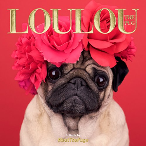 Loulou the Pug