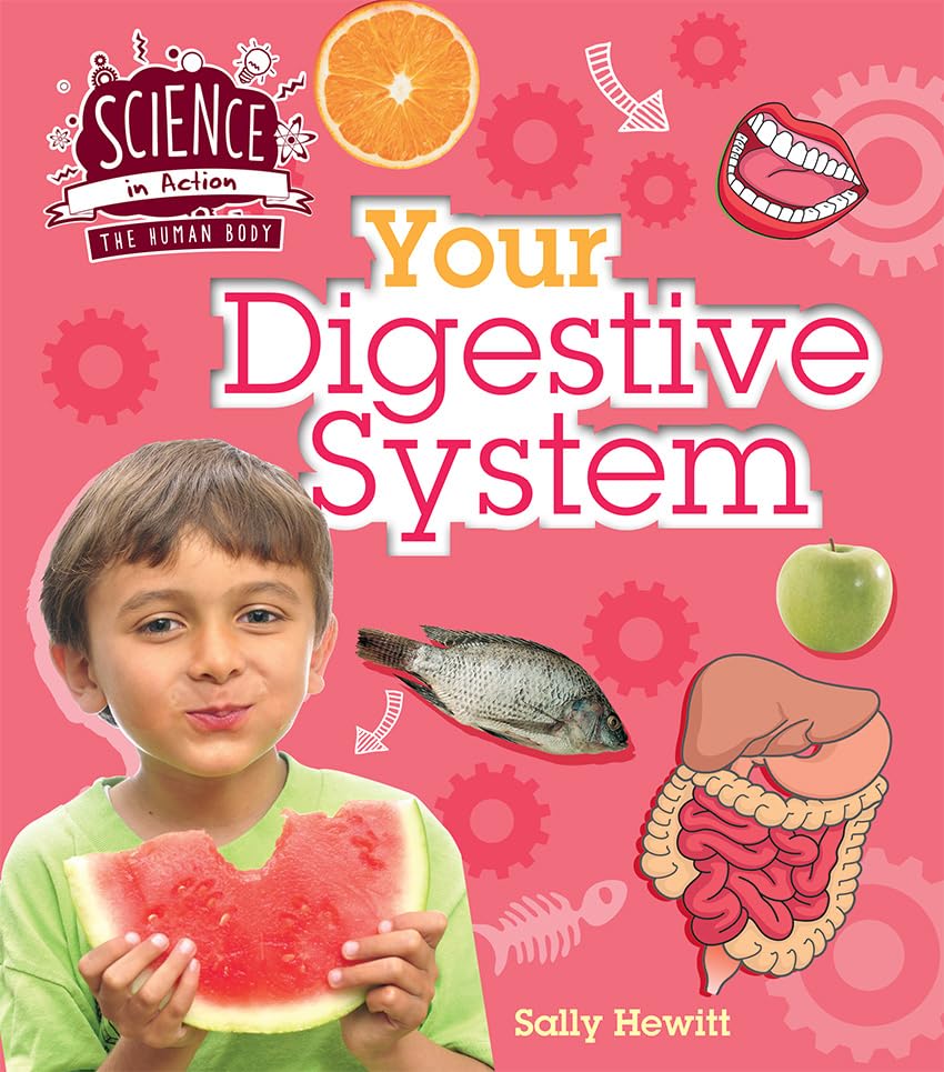 Human Body: Your Digestive System