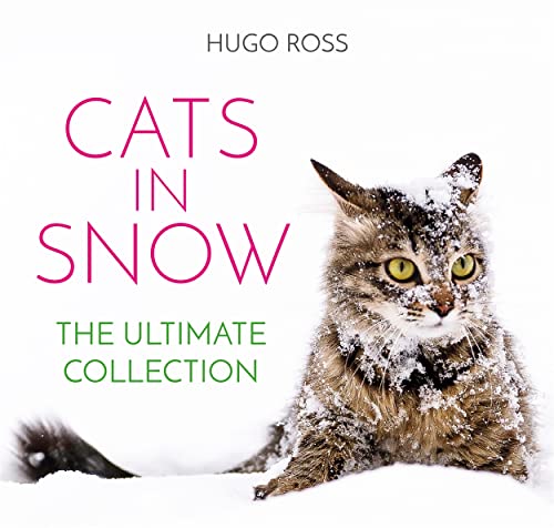 Cats in Snow