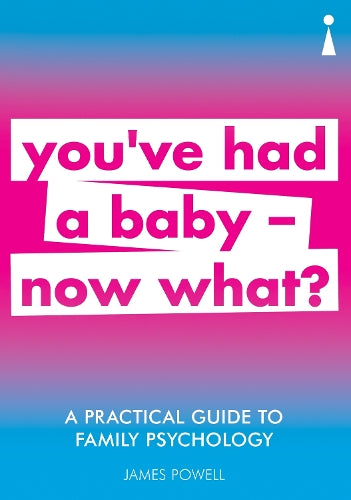 A Practical Guide to Family Psychology