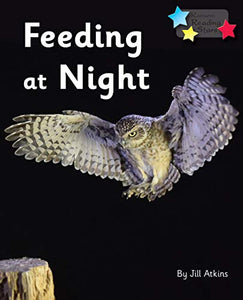 Feeding at Night 