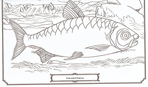 Coloring Fish