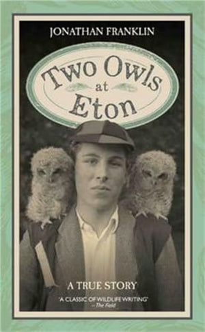 Two Owls at Eton - A True Story
