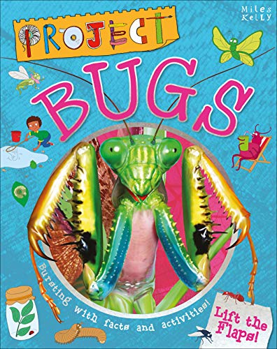 Project Bugs