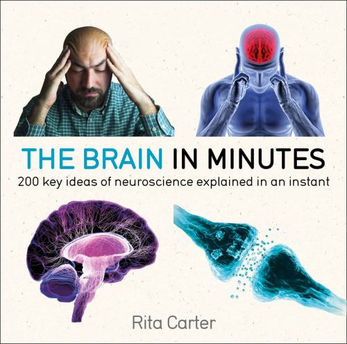 The The Brain in Minutes